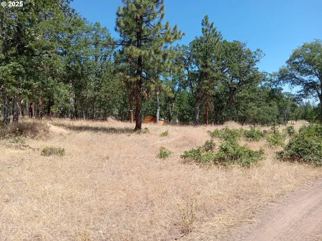 a view of snow covered with trees