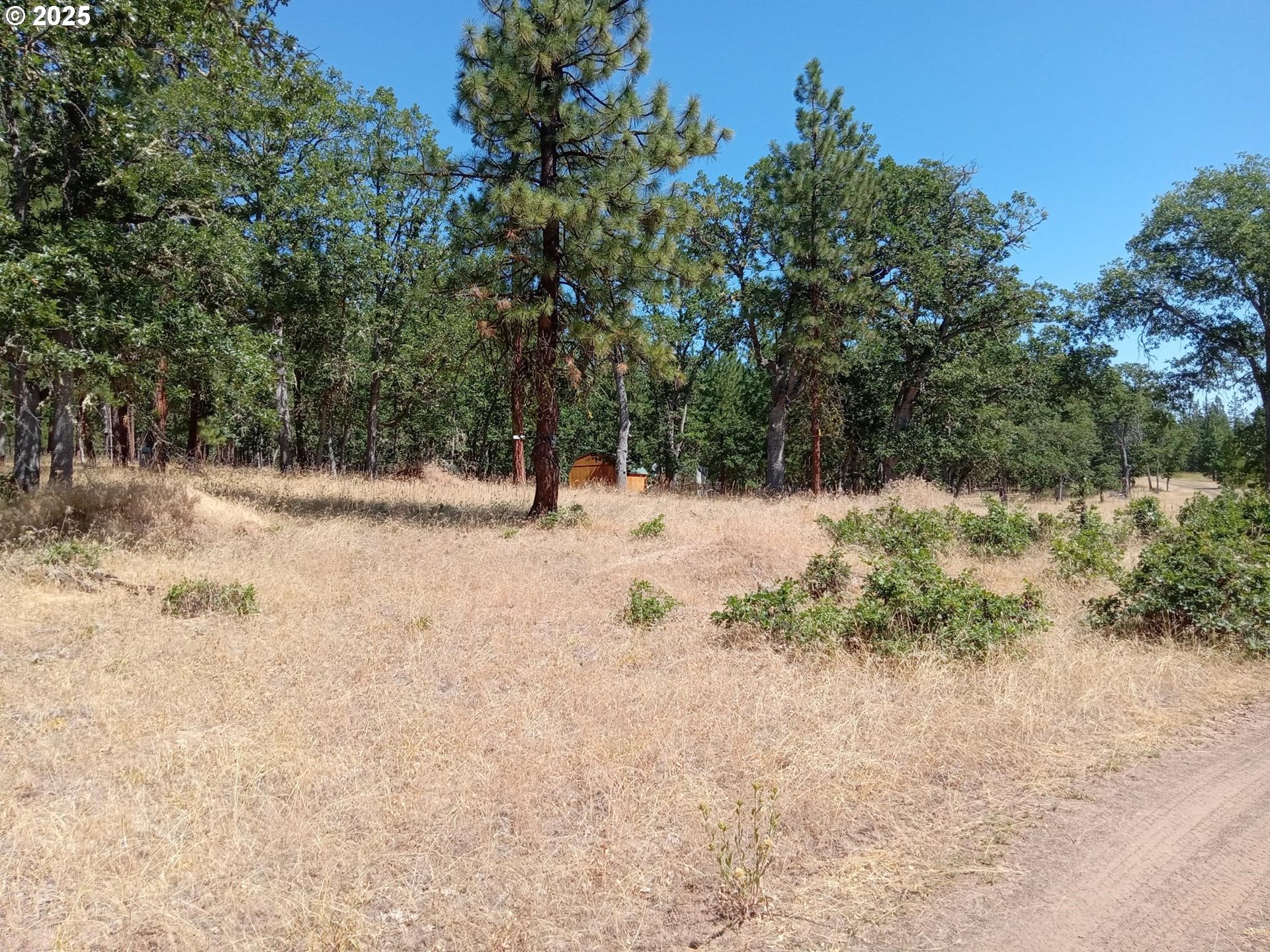 Wilderness Loop, Unit 7576 Goldendale, WA 98620 - Photo 14 of 16 a view of snow covered with trees