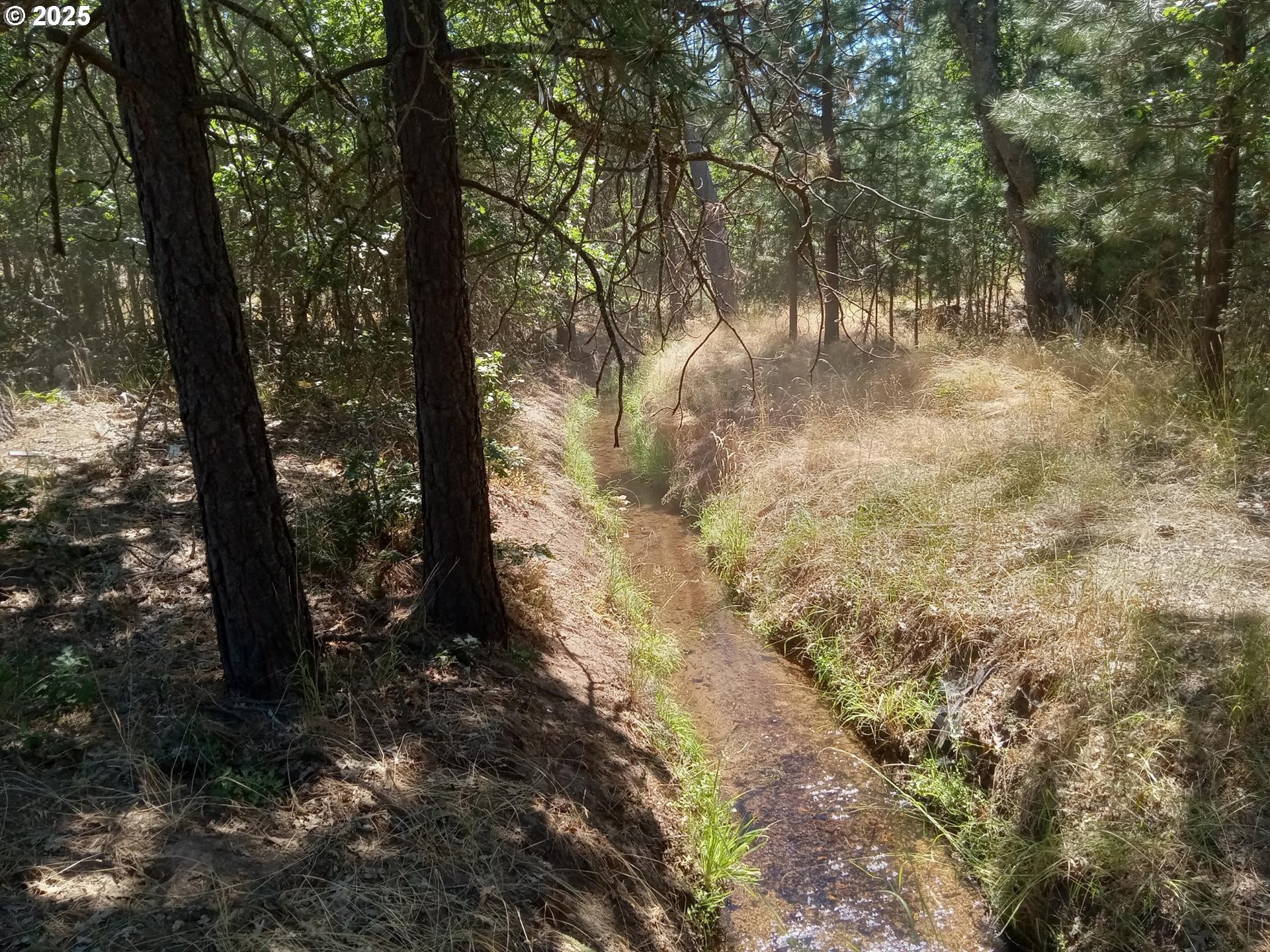Wilderness Loop, Unit 7576 Goldendale, WA 98620 - Photo 15 of 16 a view of forest