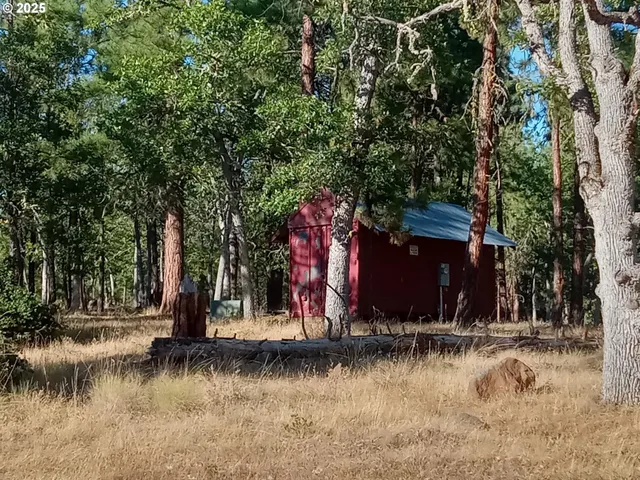 a view of a park with large trees