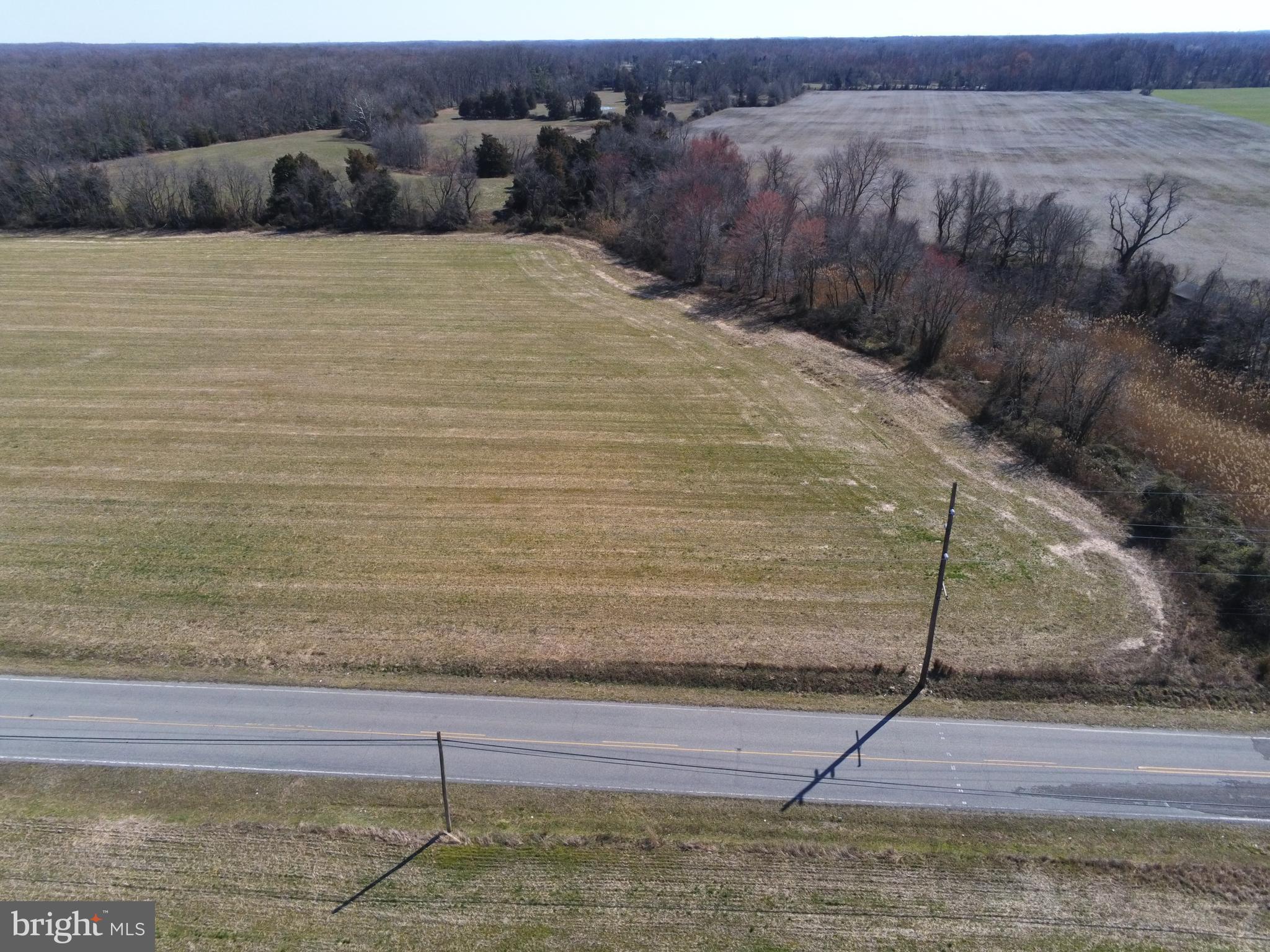 32 Beasley Neck Road Salem, NJ 08079 - Photo 8 of 40