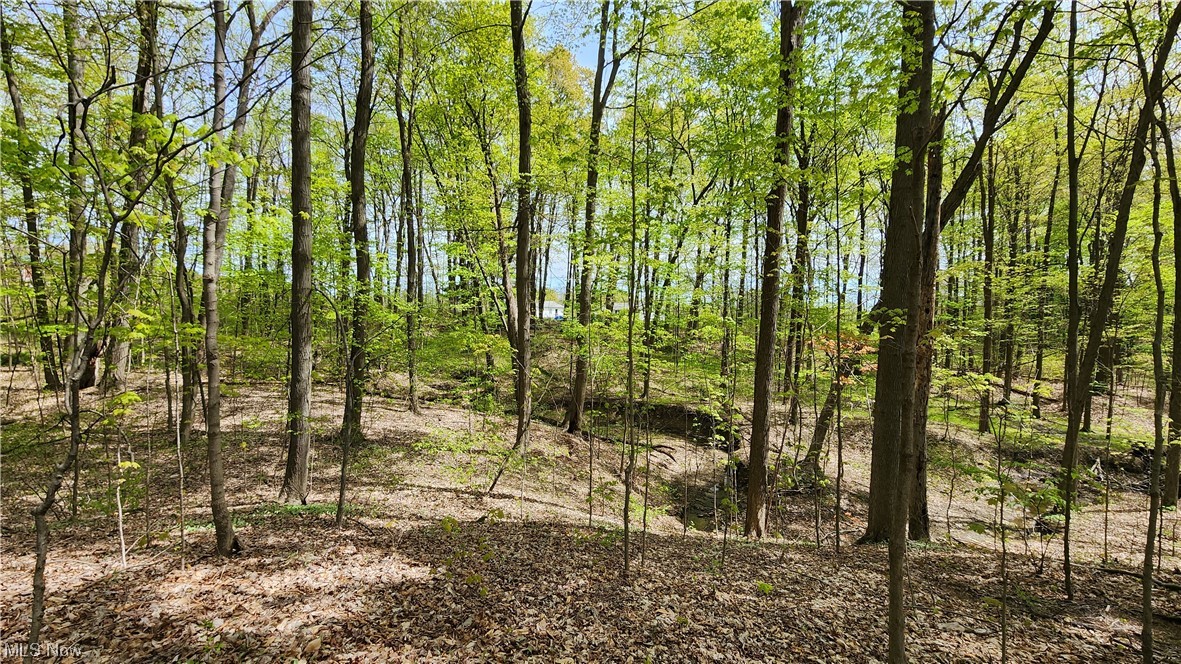 17526 Old State Road Middlefield, OH 44062 - Photo 19 of 23