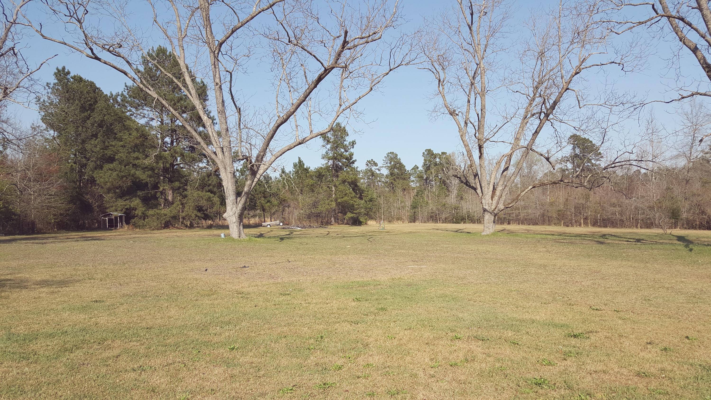 174 Fox Run Road St. George, SC 29477 - Photo 19 of 20 20170309_151952