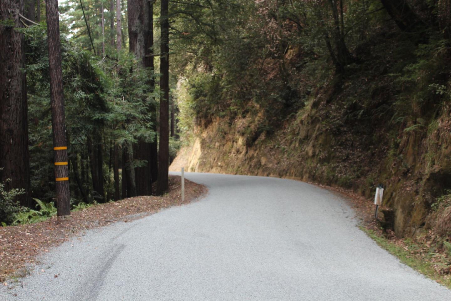 a view of a yard with trees