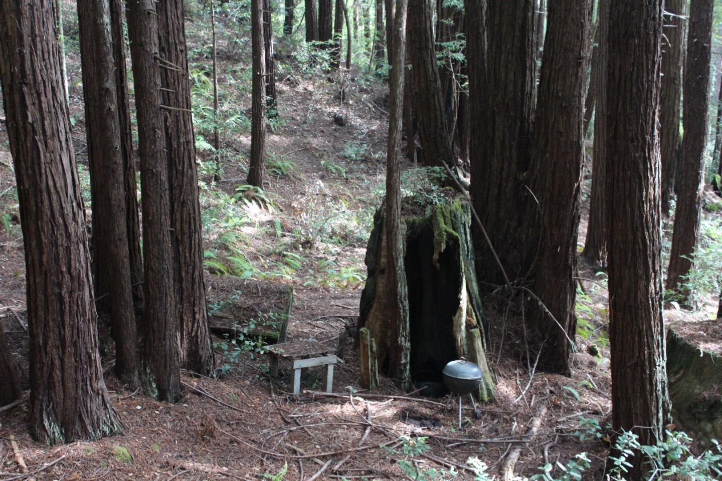 0 Tunitas Creek Road Half Moon Bay, CA 94019 - Photo 17 of 23