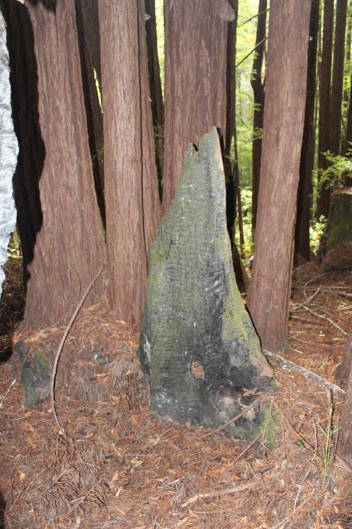 0 Tunitas Creek Road Half Moon Bay, CA 94019 - Photo 20 of 23 a view of a entryway