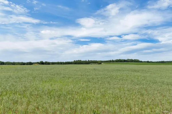$105,900 | 290 East Crst Loop, St. Stephen, MN 56375