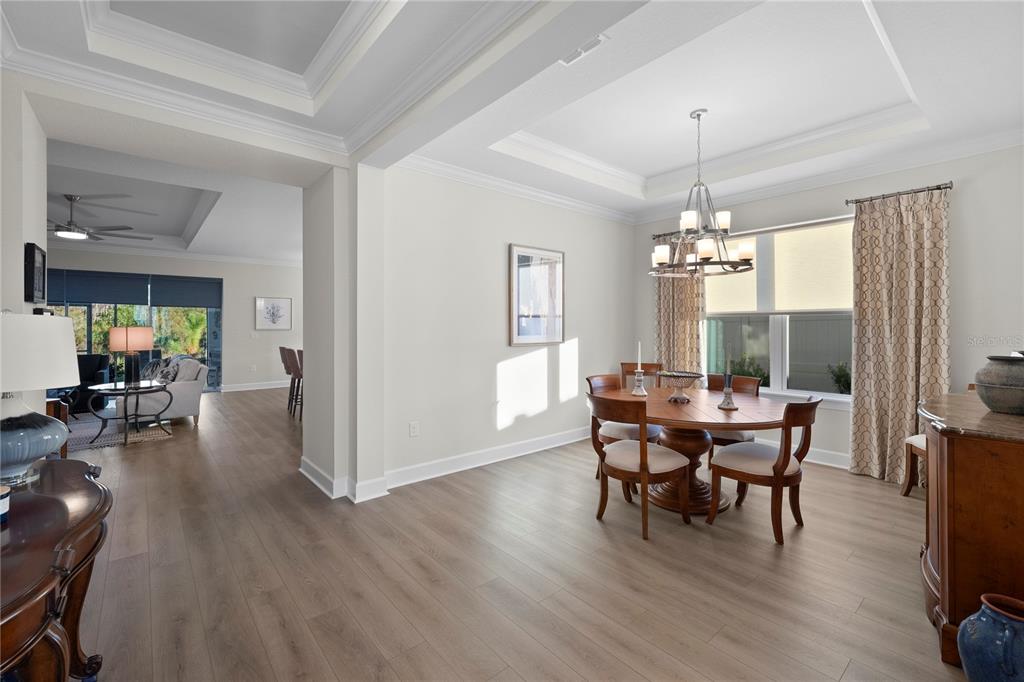 4618 Isonzo Way Wesley Chapel, FL 33543 - Photo 11 of 94