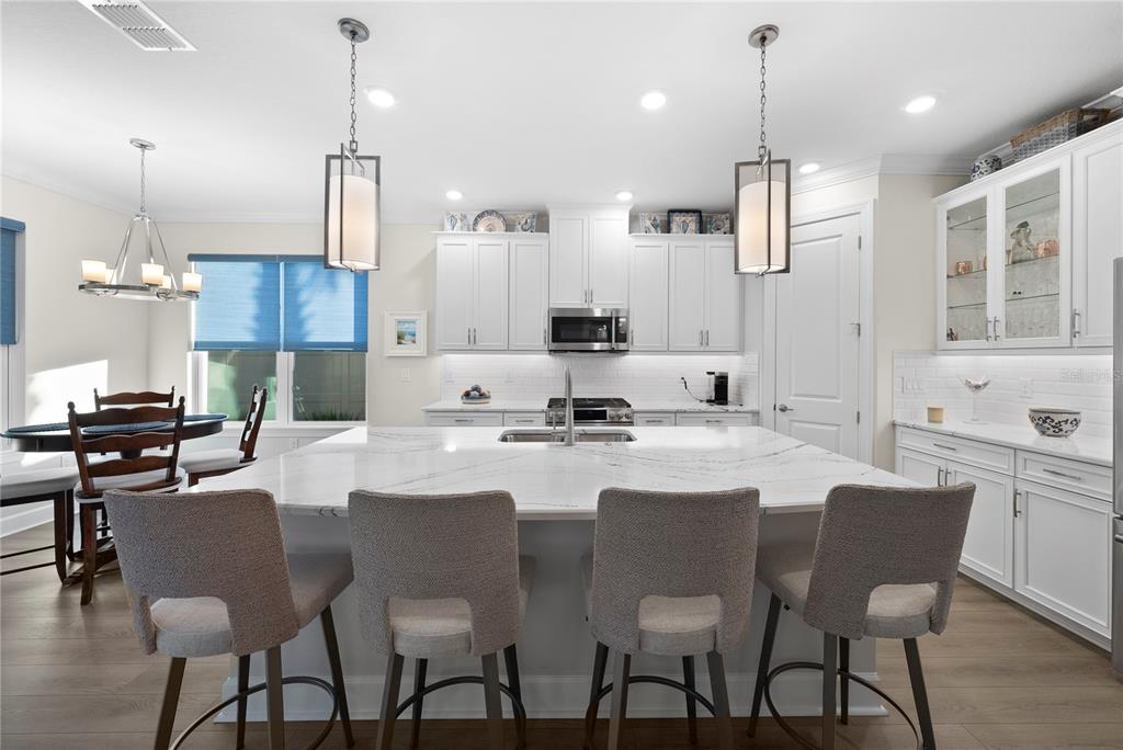 4618 Isonzo Way Wesley Chapel, FL 33543 - Photo 13 of 94