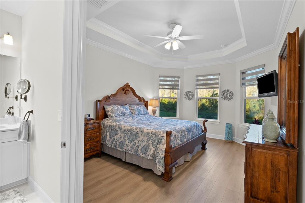 4618 Isonzo Way Wesley Chapel, FL 33543 - Photo 26 of 94