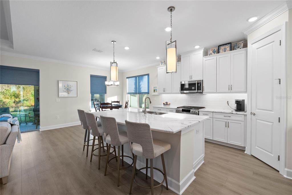 4618 Isonzo Way Wesley Chapel, FL 33543 - Photo 3 of 94