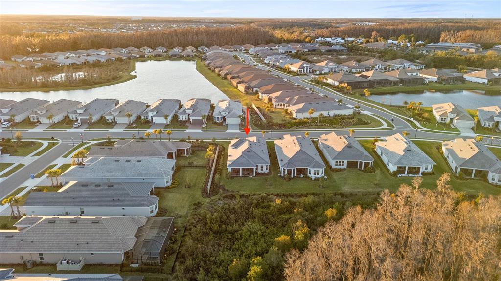 4618 Isonzo Way Wesley Chapel, FL 33543 - Photo 4 of 94