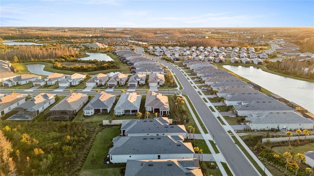 4618 Isonzo Way Wesley Chapel, FL 33543 - Photo 46 of 94