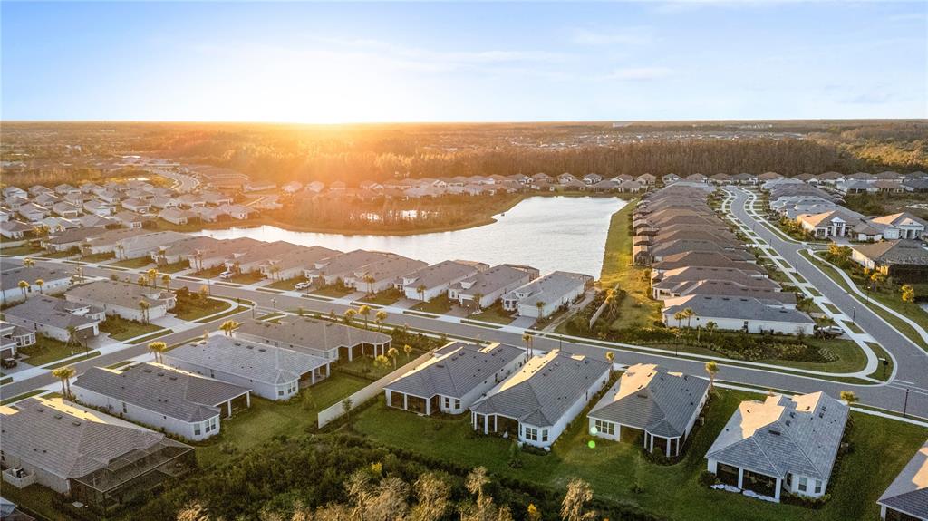 4618 Isonzo Way Wesley Chapel, FL 33543 - Photo 55 of 94