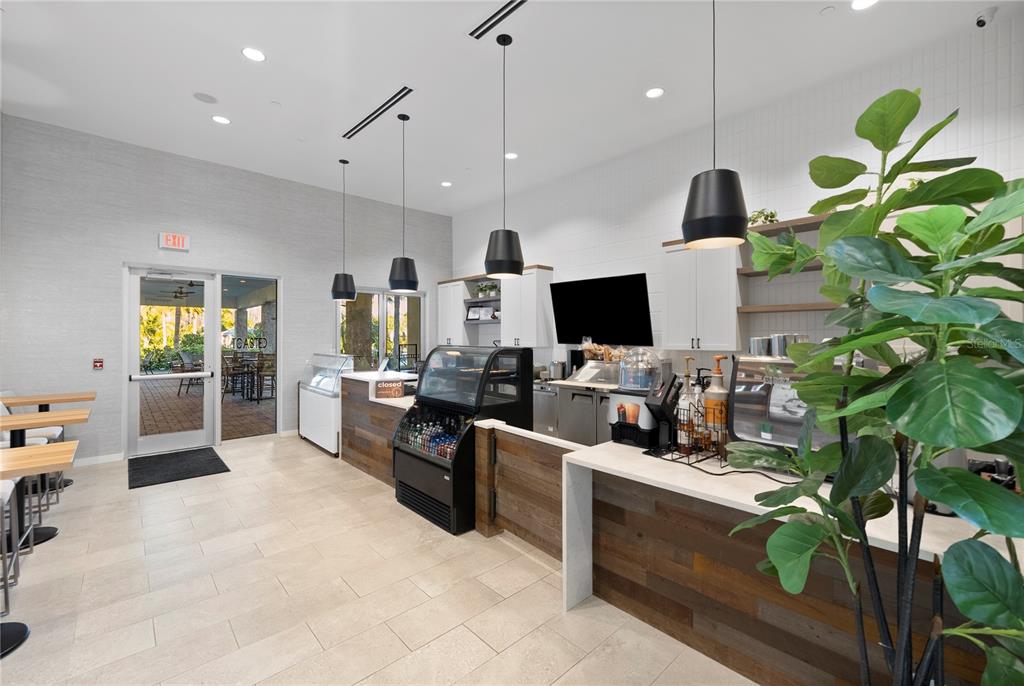 4618 Isonzo Way Wesley Chapel, FL 33543 - Photo 64 of 94