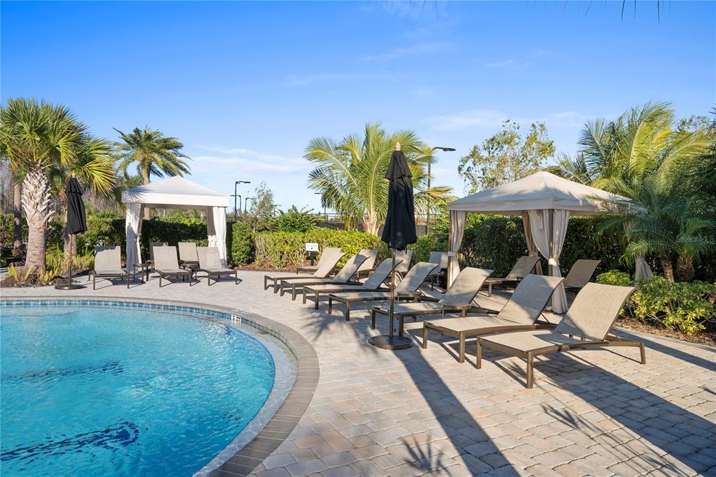 4618 Isonzo Way Wesley Chapel, FL 33543 - Photo 90 of 94