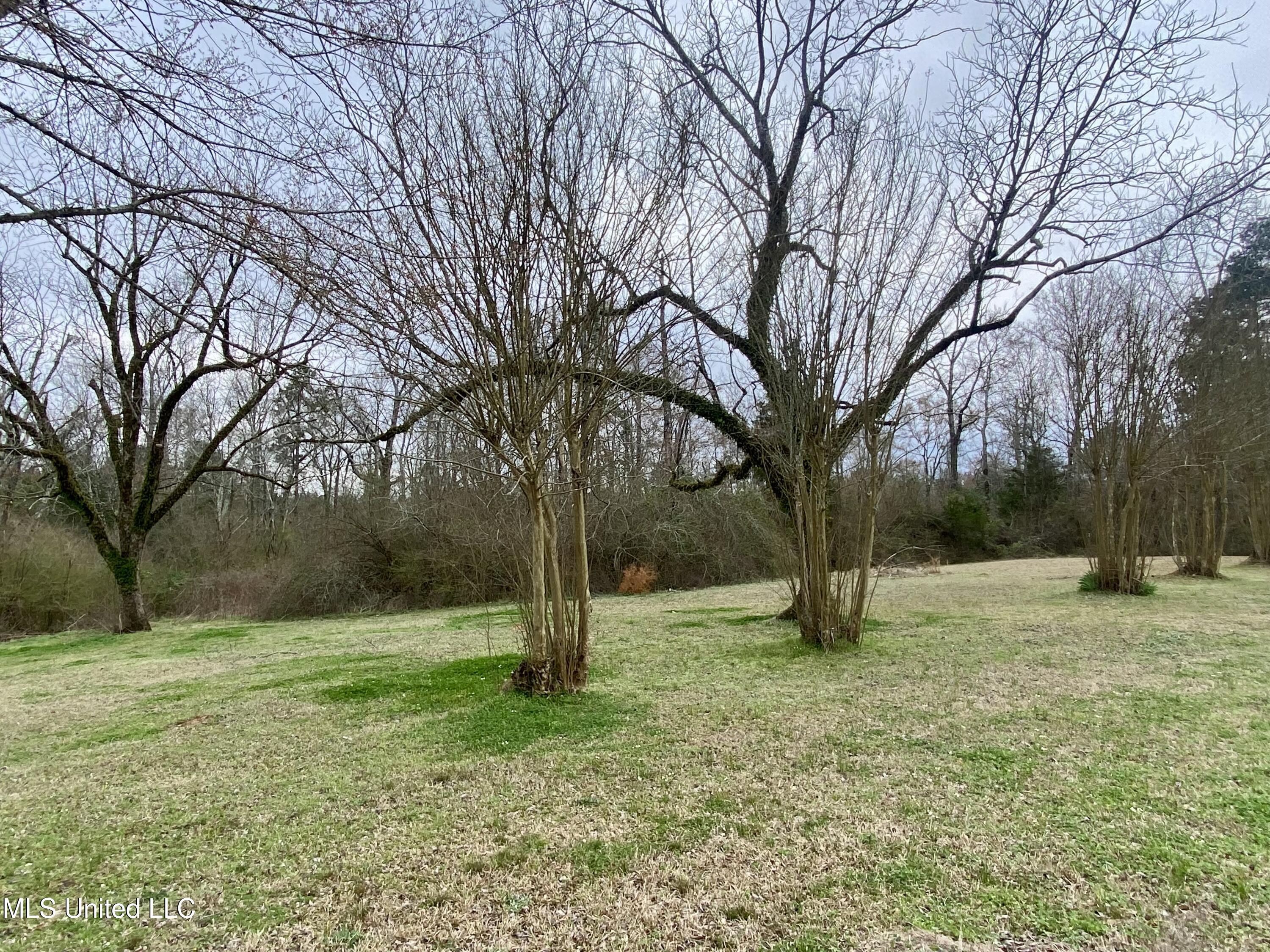 1048 Barnes Road Crystal Springs, MS 39059 - Photo 46 of 46 IMG_4998