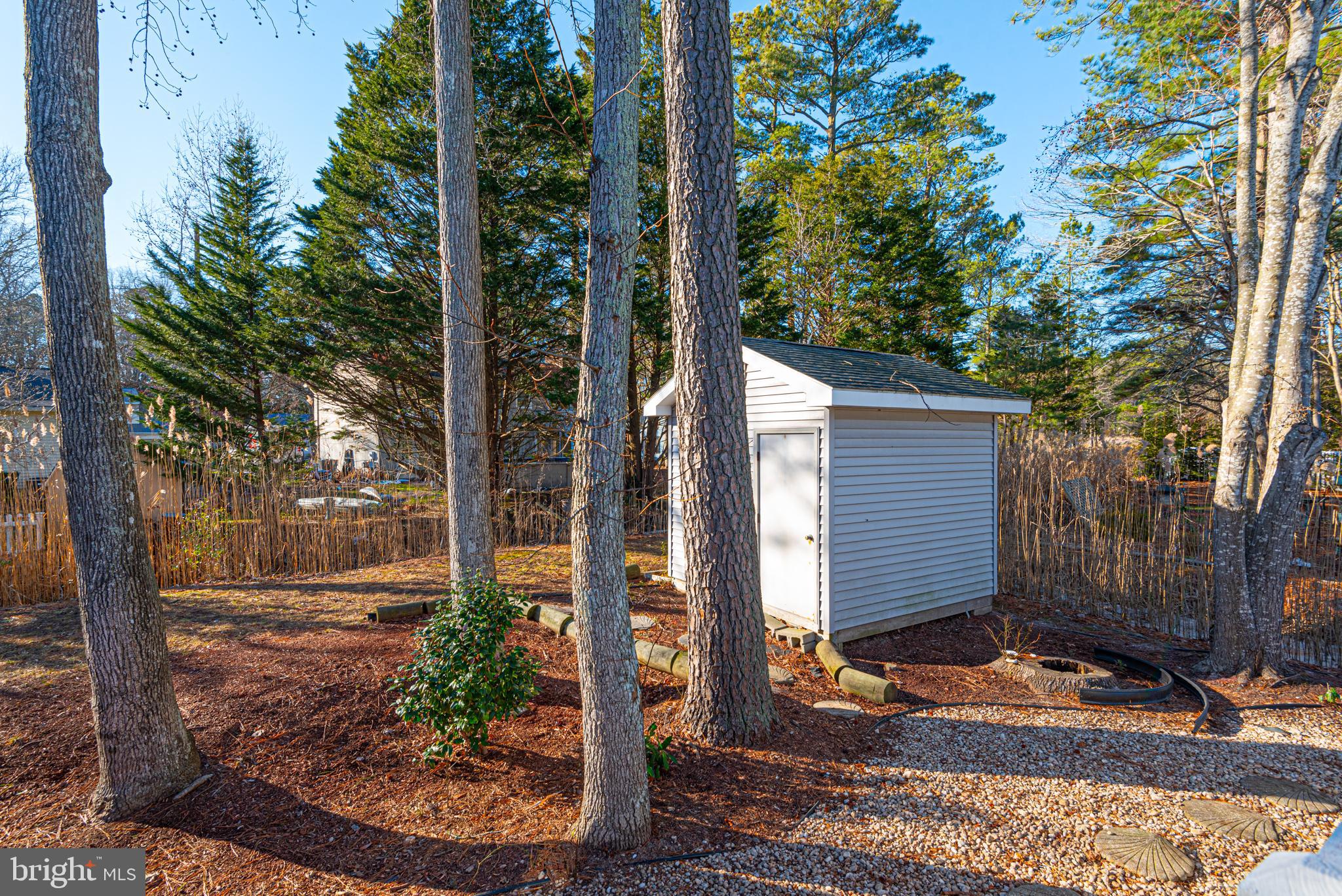 11 Mist Flower Road Berlin, MD 21811 - Photo 53 of 78 back yard with shed