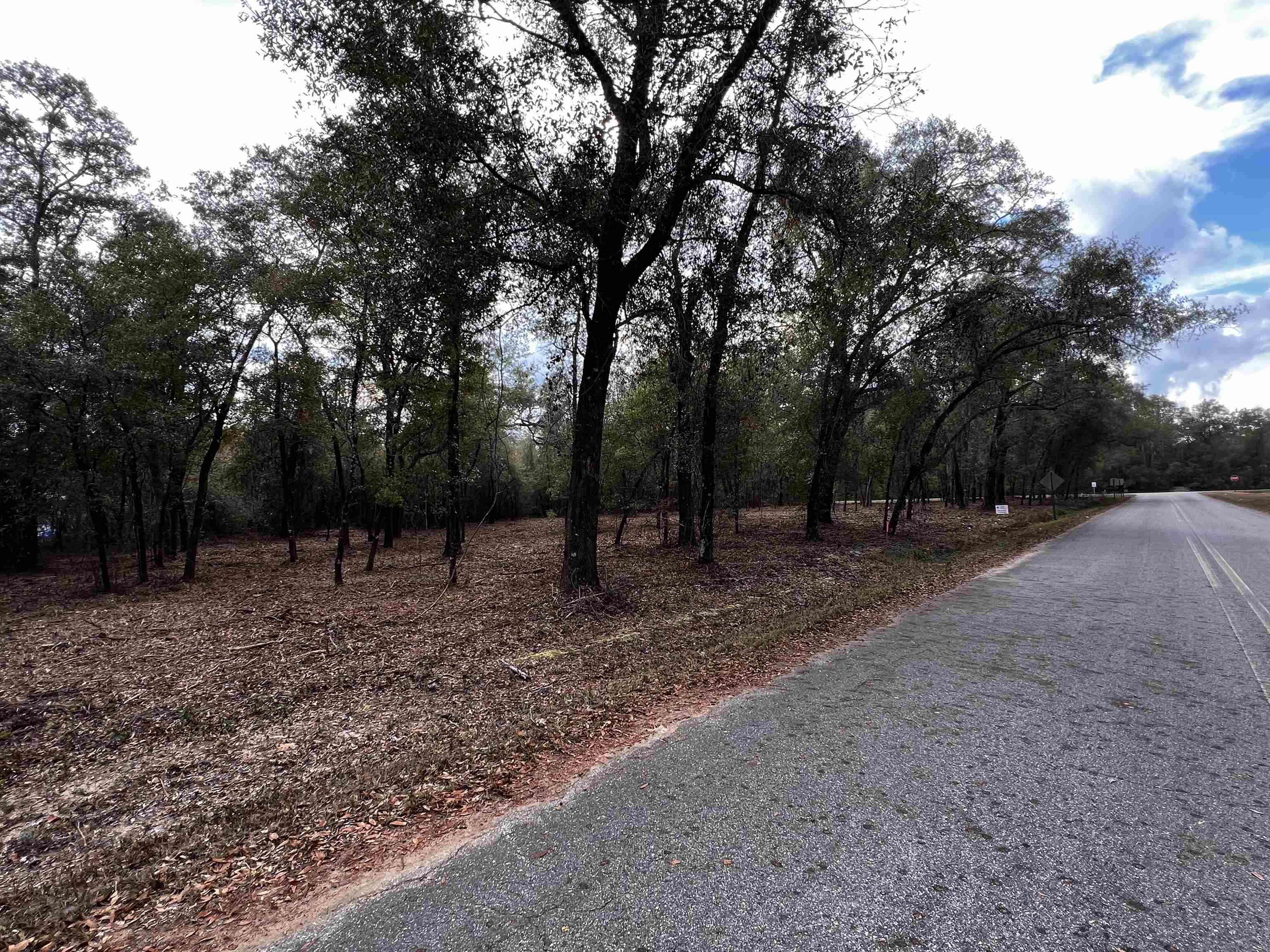 Xx Xx Mccall Bridge Rd Lake Quincy, FL 32351 - Photo 2 of 4