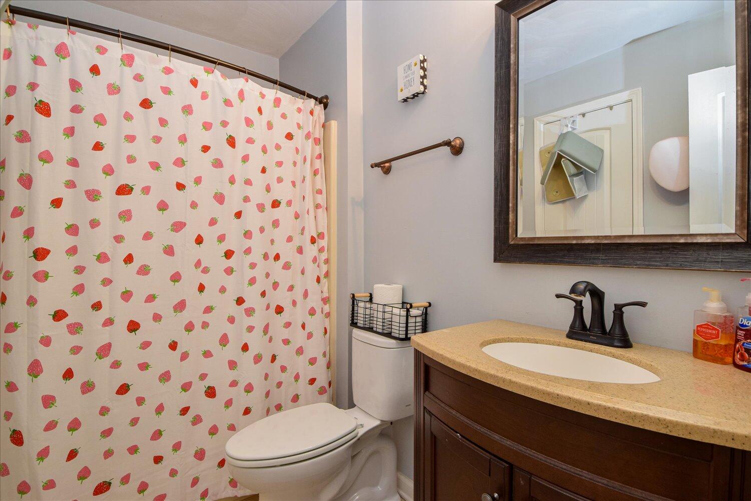 3279 Forest Ridge Road Roanoke, VA 24018 - Photo 12 of 21 a bathroom with a sink toilet and mirror