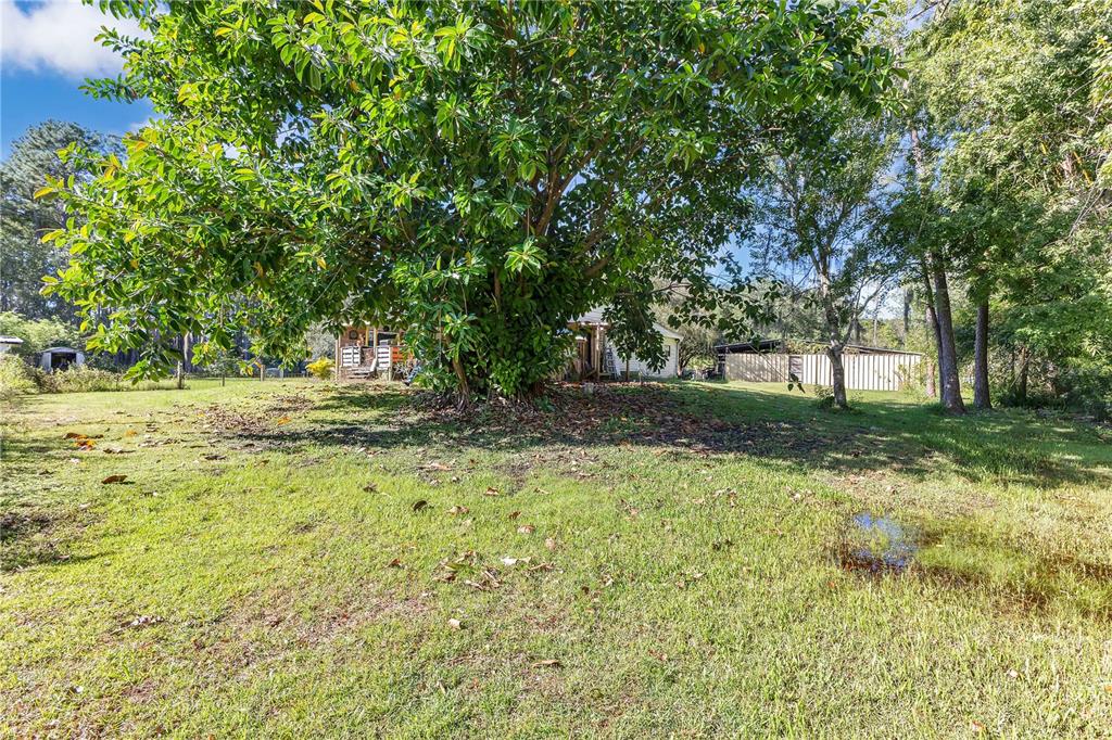 5879 Leon Tyson Road St. Cloud, FL 34771 - Photo 11 of 33 Gallery Image 11