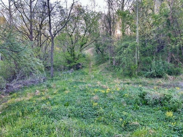 5.383-ac Falls Branch Road, Unit ROUTE 152 Lavalette, WV 25535 - Photo 2 of 9 Gallery Image 2