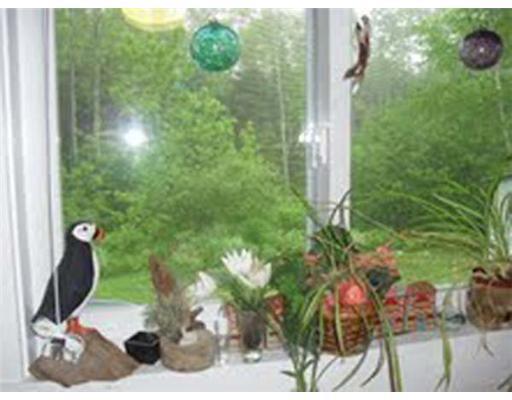 356 Ellsworth Road Blue Hill, ME 04614 - Photo 6 of 11 Other.
