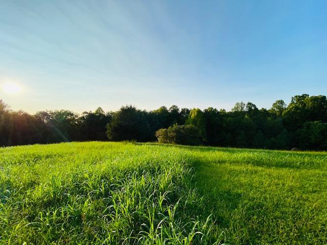 355 Mcfall Road Albany, KY 42602 - Photo 28 of 28 IMG_7230