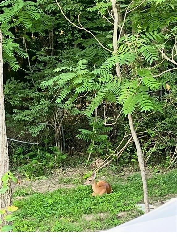 3705 Northeast Russell Rd. Kansas City, MO 64117 - Photo 35 of 35