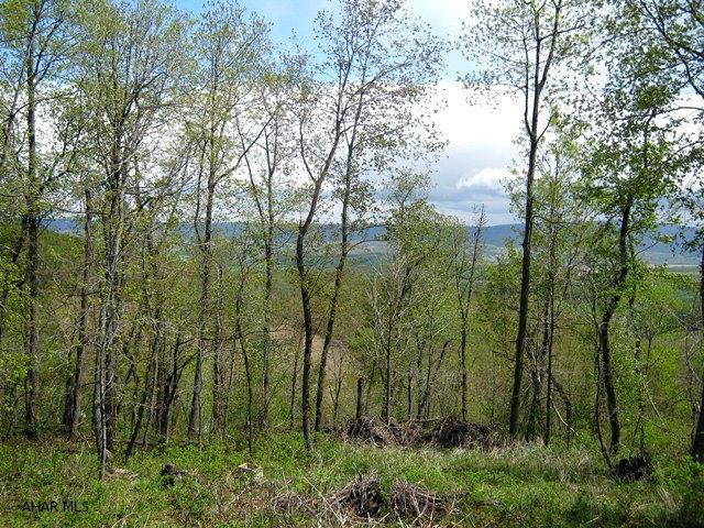 Lot #2 Dark Hollow Road Alum Bank, PA 15521 - Photo 5 of 9 Gallery Image 5