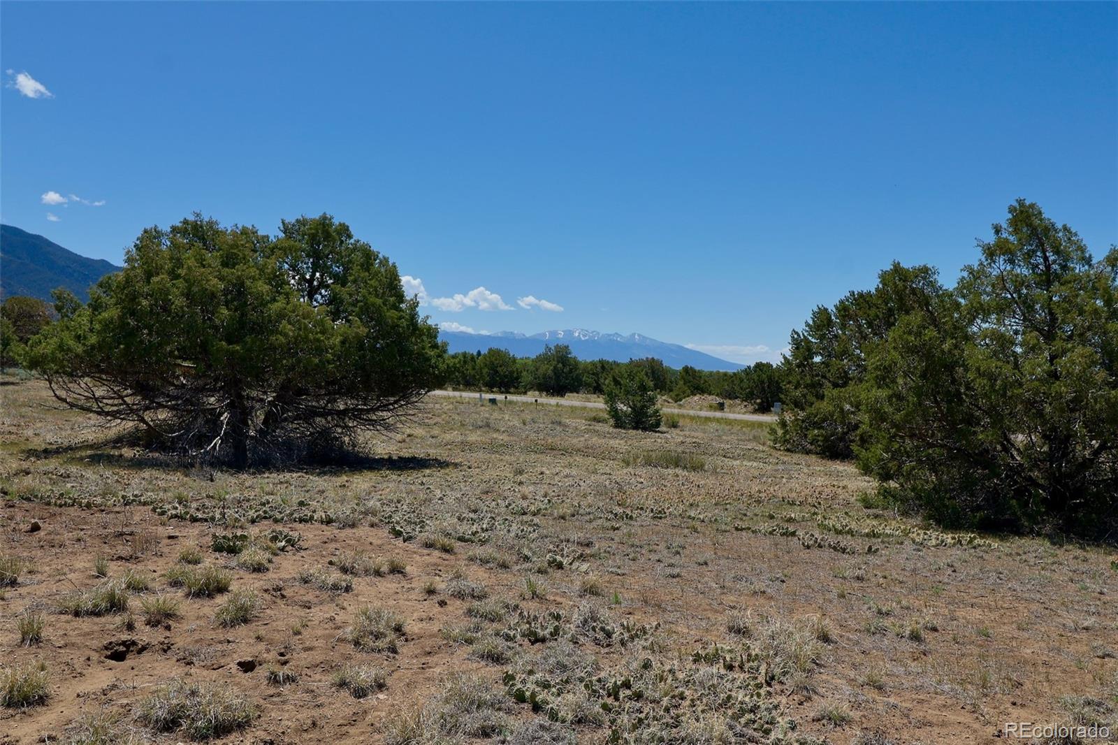 1515 Wagon Wheel Road Crestone, CO 81131 - Photo 10 of 15 a view of a dry yard with trees
