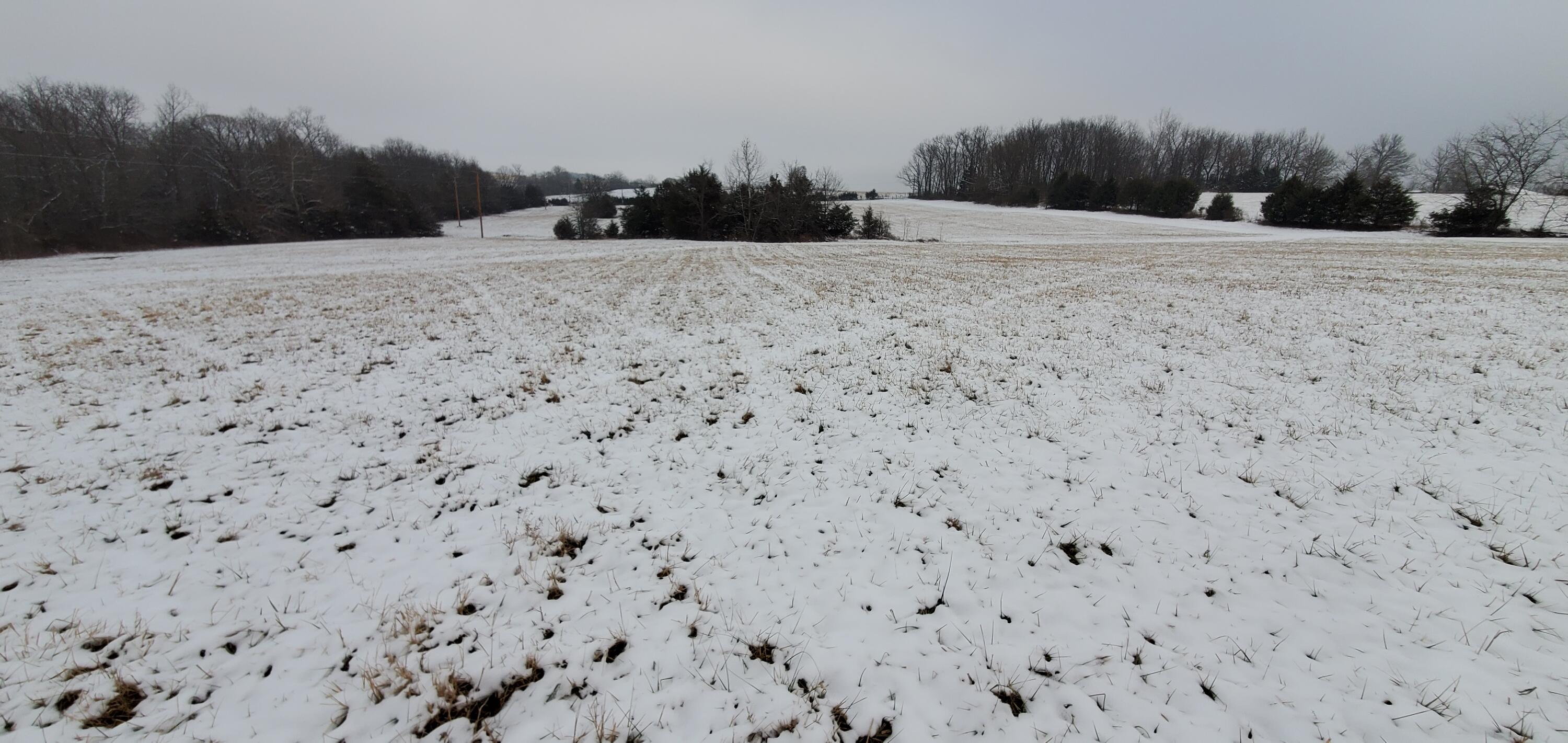 4775 South 50th Road Aldrich, MO 65601 - Photo 133 of 306 20220116_161612