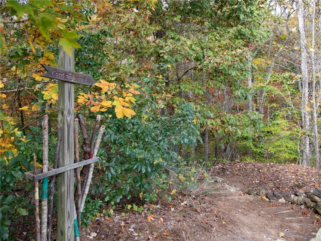 3541 Cresswind Parkway Southwest Gainesville, GA 30504 - Photo 37 of 45