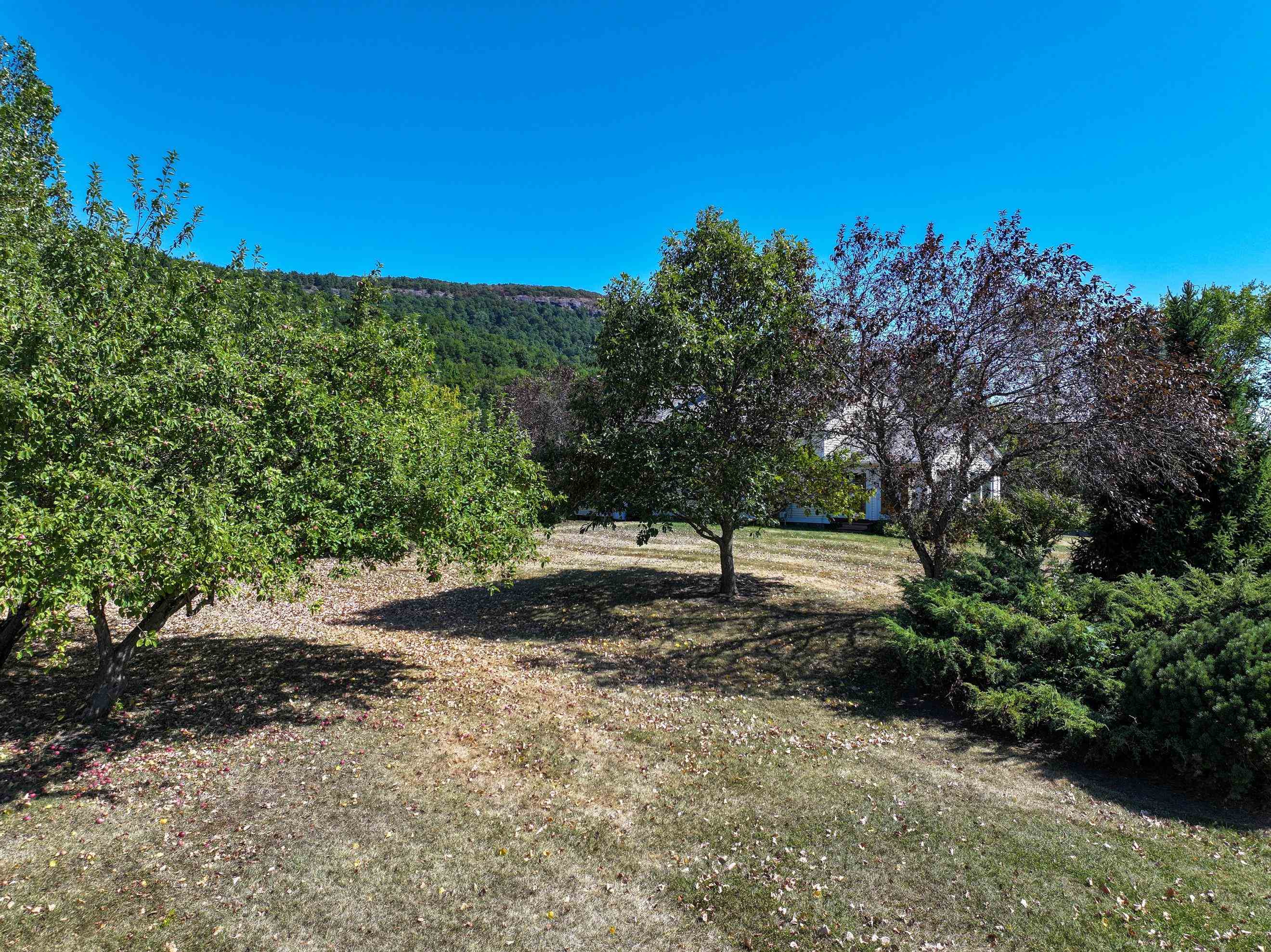 465 Whitford Road Addison, VT 05491 - Photo 41 of 42