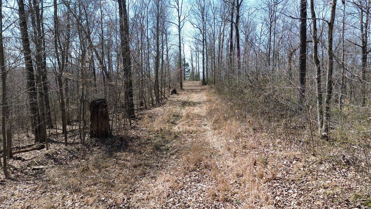 20 A Riverside Benleo Road Bowling Green, KY 42101 - Photo 18 of 26 Gallery Image 18