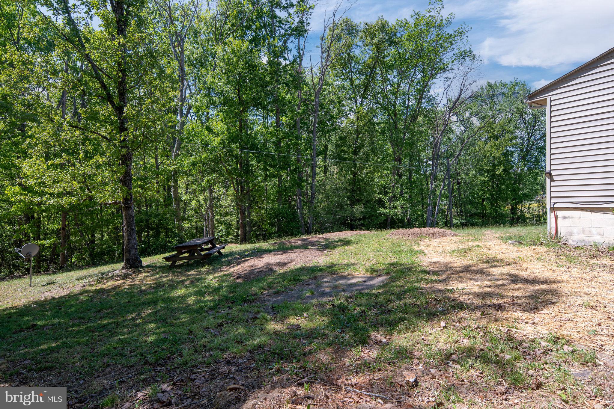 14208 Springfield Lane King George, VA 22485 - Photo 36 of 41 a view of a yard with plants and trees
