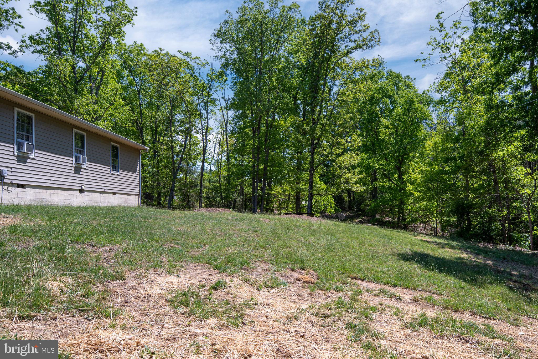 14208 Springfield Lane King George, VA 22485 - Photo 37 of 41 a view of a backyard with a large tree