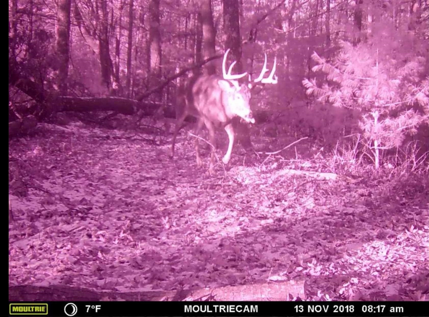 N2517 Arrow Warrens, WI 54666 - Photo 34 of 48