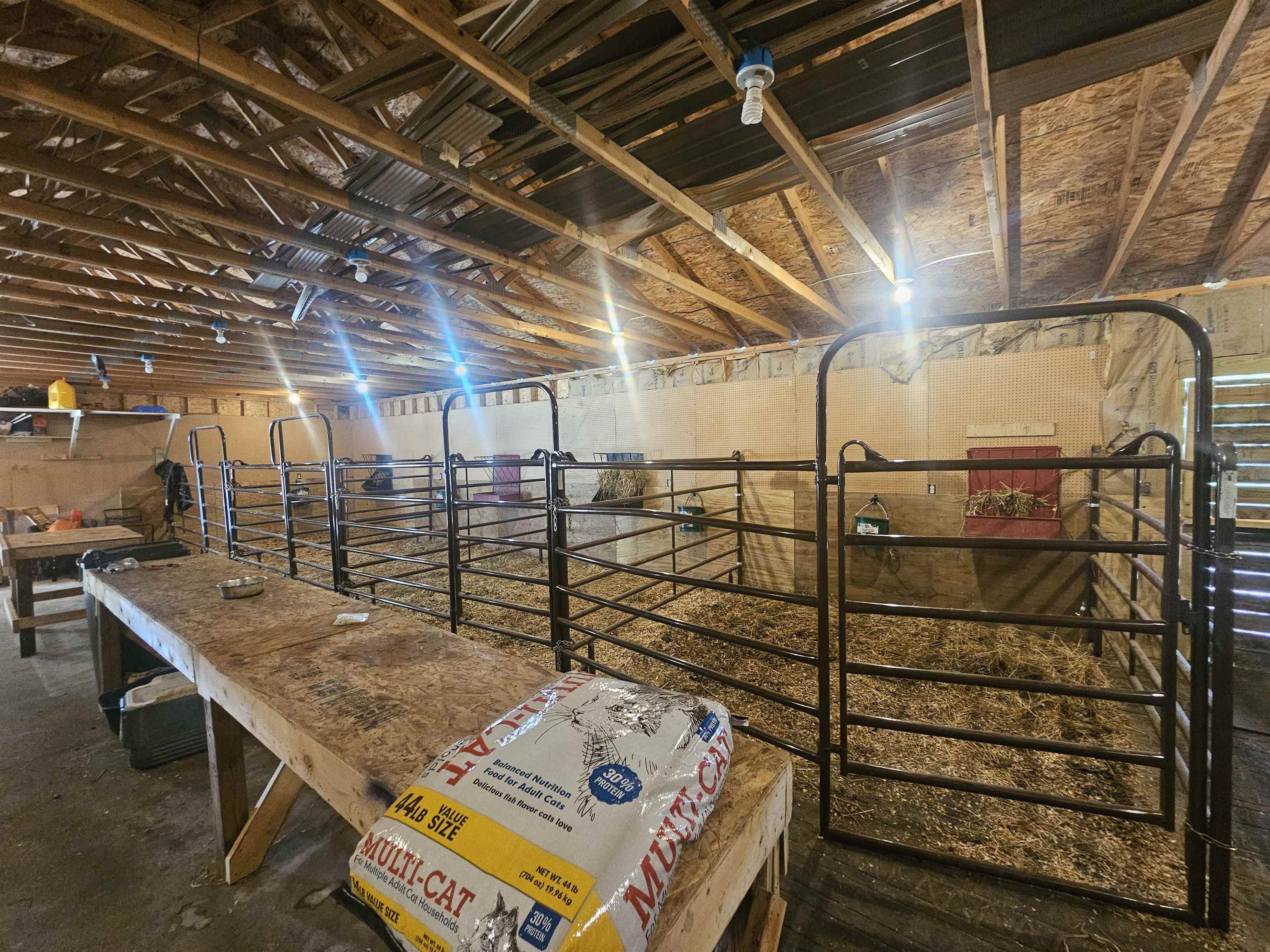 N2517 Arrow Warrens, WI 54666 - Photo 42 of 48