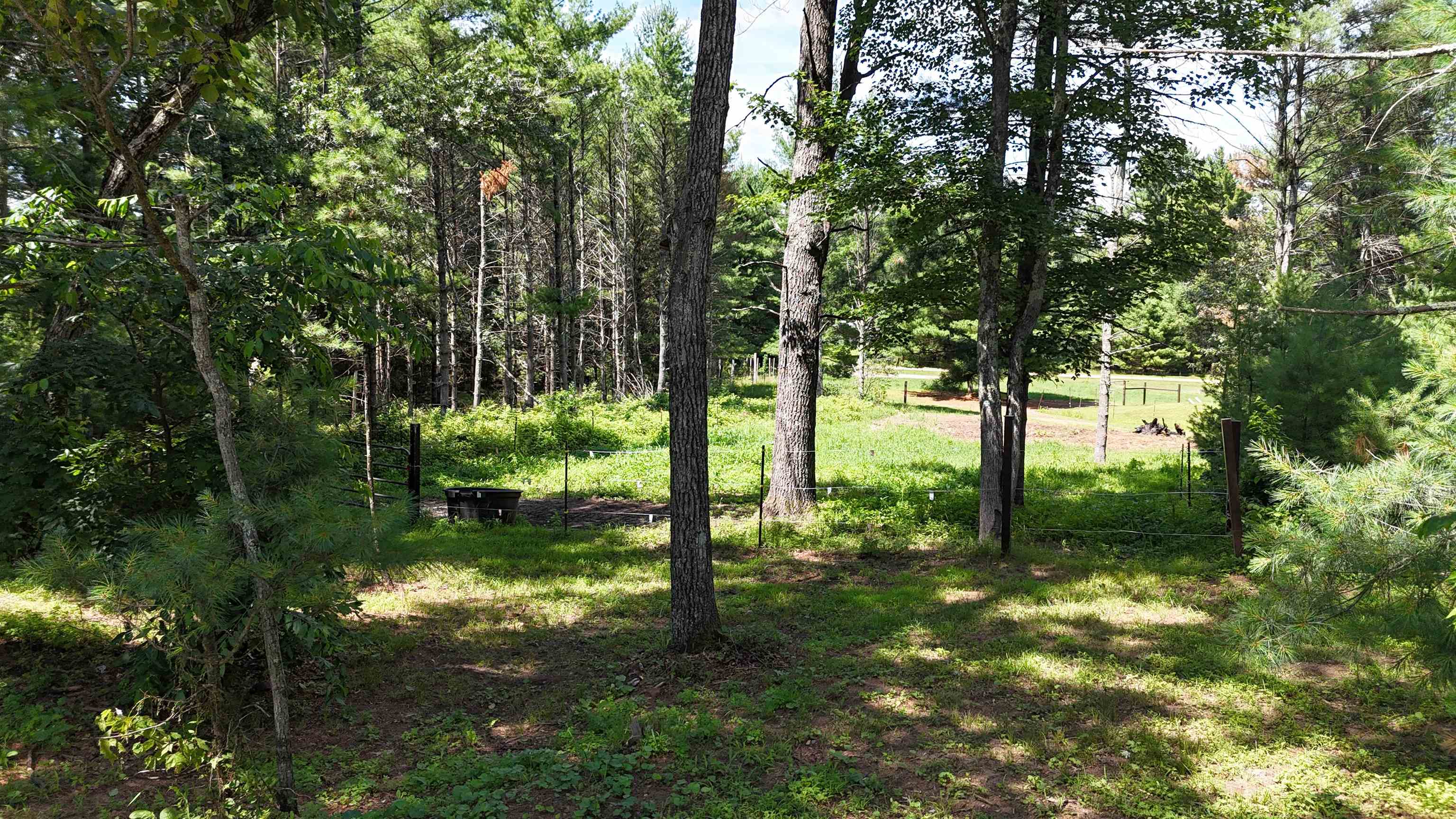 N2517 Arrow Warrens, WI 54666 - Photo 44 of 48