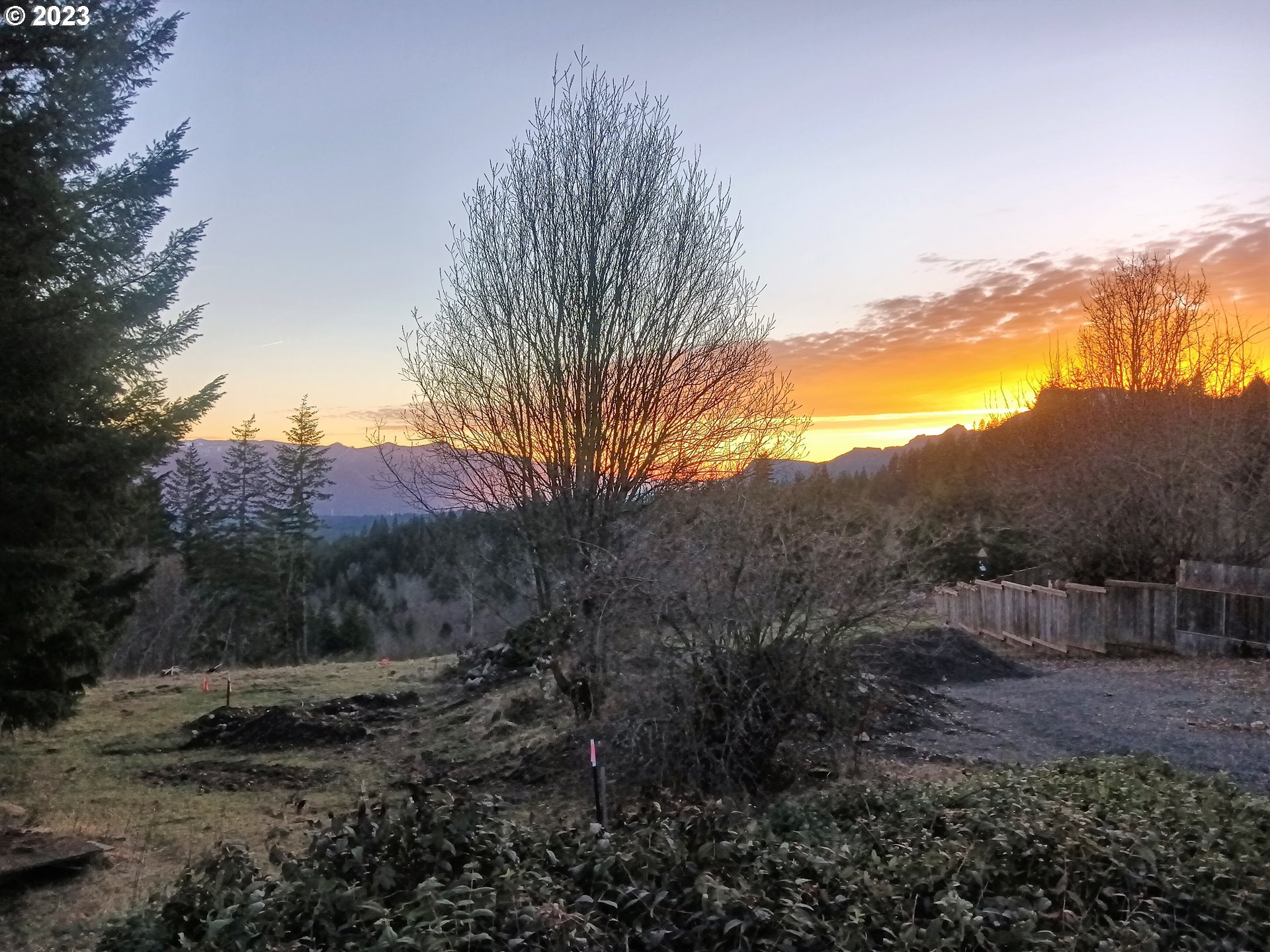 51 Stewart Road Stevenson, WA 98648 - Photo 6 of 30 a view of a backyard