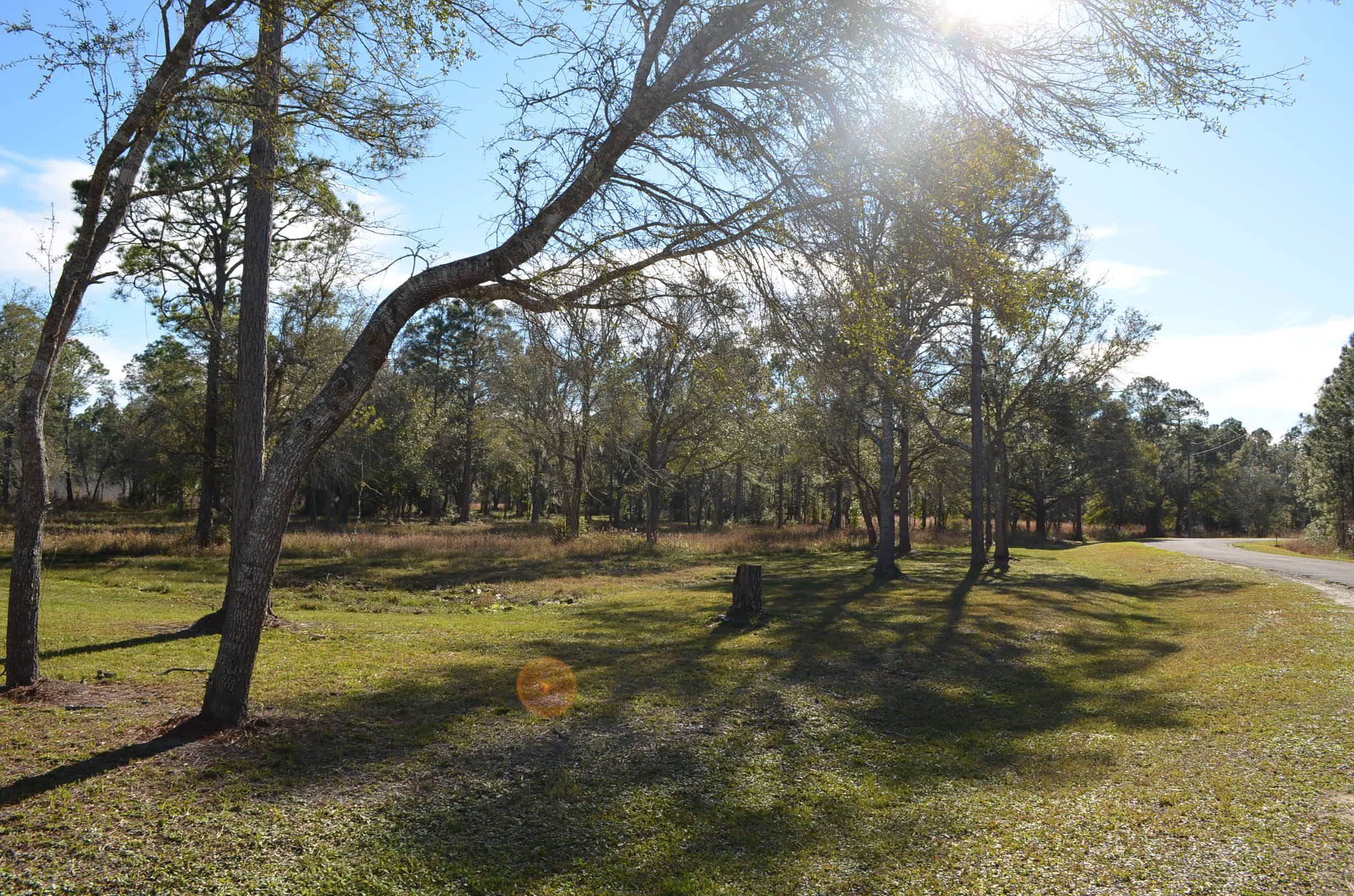 1775 Ocean Pond Road Perry, FL 32348 - Photo 18 of 34 Gallery Image 18