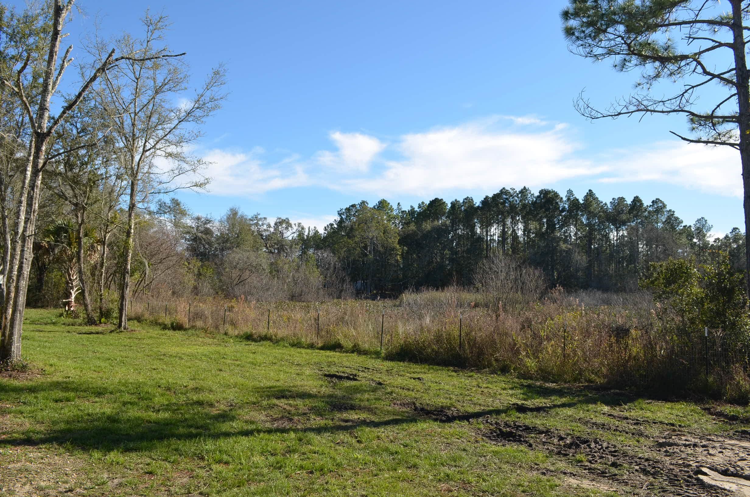 1775 Ocean Pond Road Perry, FL 32348 - Photo 21 of 34 Gallery Image 21
