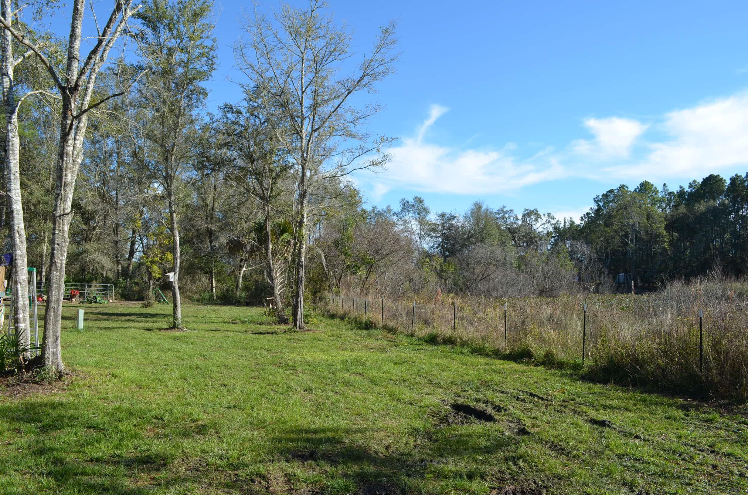 1775 Ocean Pond Road Perry, FL 32348 - Photo 23 of 34 Gallery Image 23