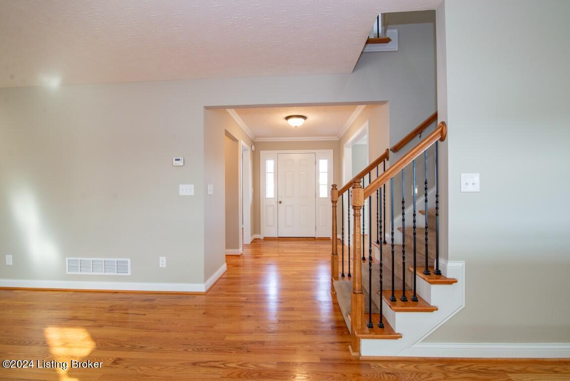 250 Riley Way Elizabethtown, KY 42701 - Photo 11 of 77 250 Riley Way-16