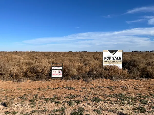 a view of a dry yard with mountain