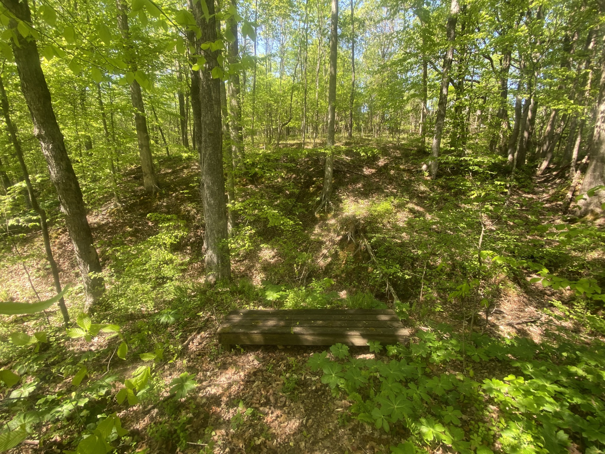 1034 Spring Creek Road Chapmansboro, TN 37035 - Photo 48 of 70 Gallery Image 48