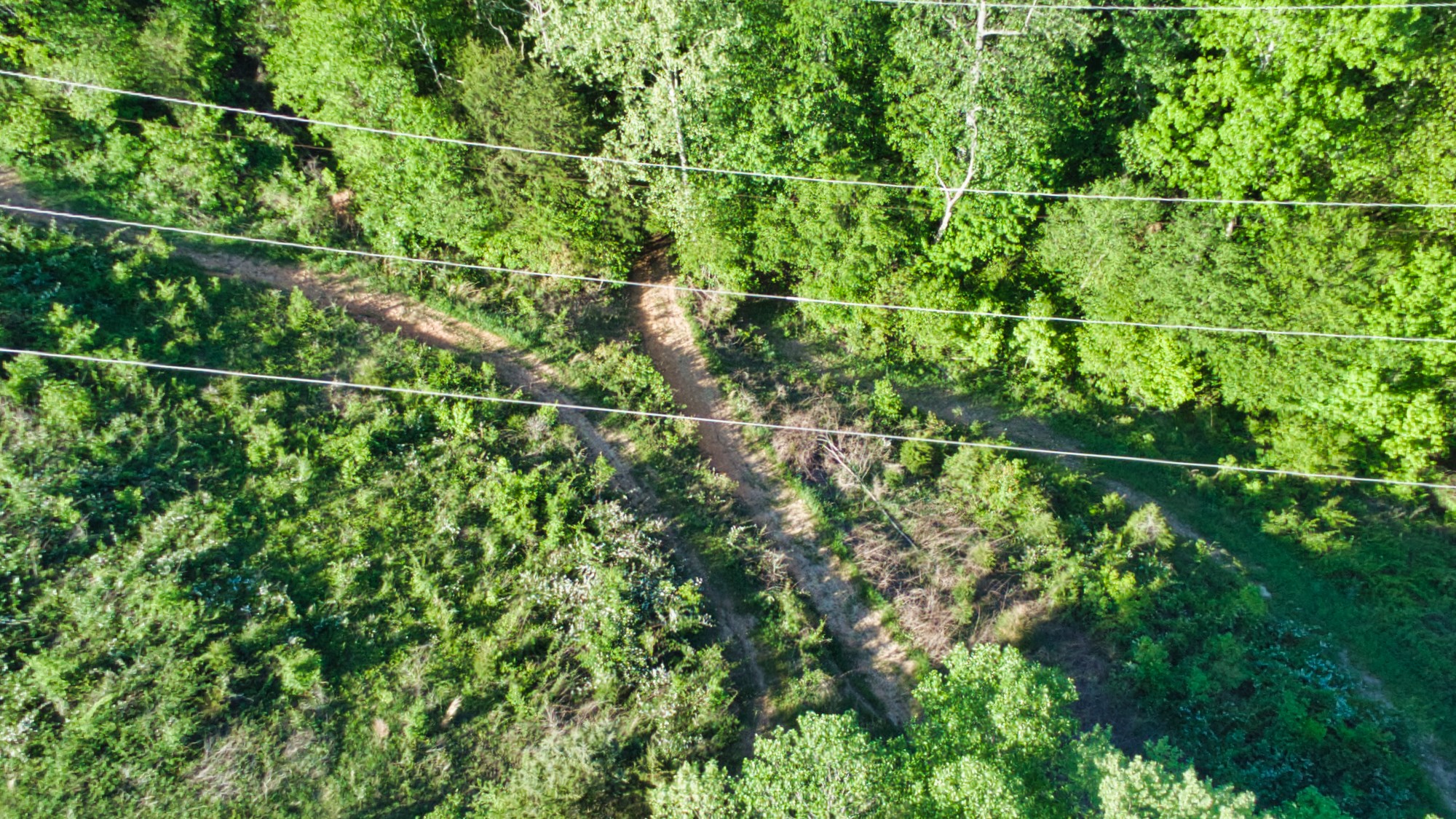 1034 Spring Creek Road Chapmansboro, TN 37035 - Photo 54 of 70 Gallery Image 54