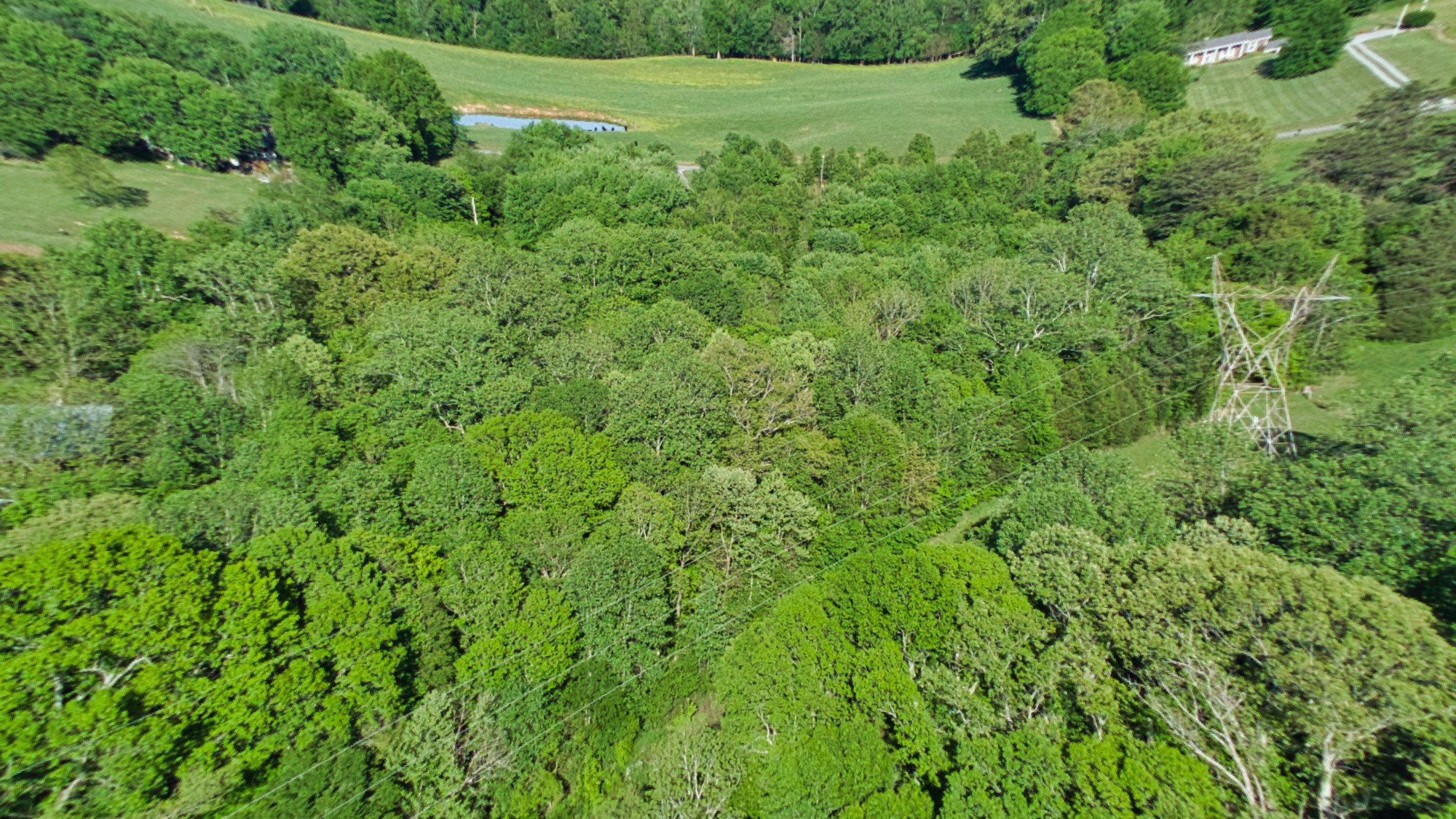 1034 Spring Creek Road Chapmansboro, TN 37035 - Photo 55 of 70 Gallery Image 55
