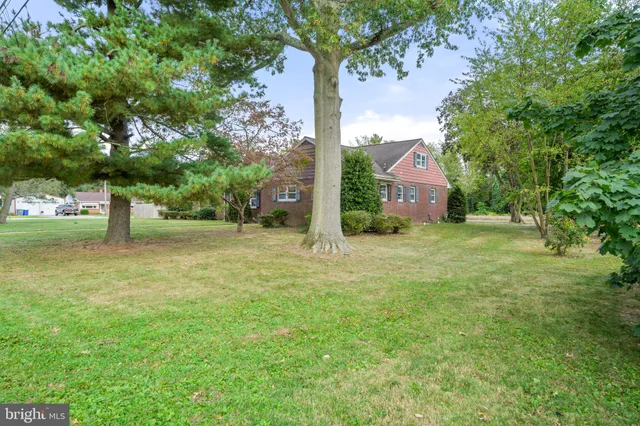 a view of a garden with trees